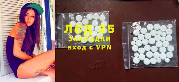 крисы Надым