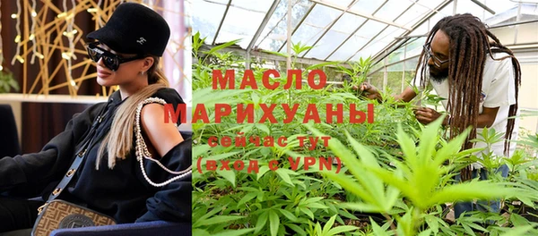 крисы Надым