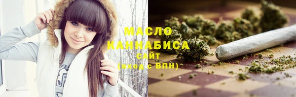 крисы Надым