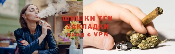 крисы Надым
