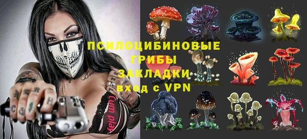 соль ск Нея