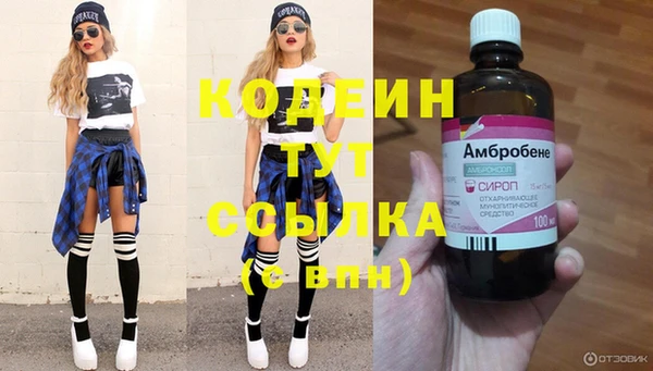 крисы Надым