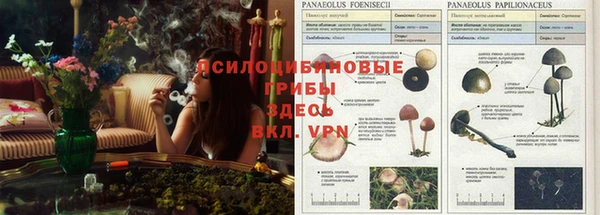 синтетический гашиш Нефтекумск